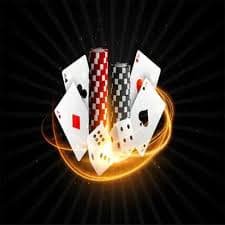 pgspin99